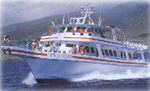 Dream Cruises - Whale Watch Cruise Maui - Prince Kuhio