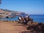 Maui Horseback Riding Tours