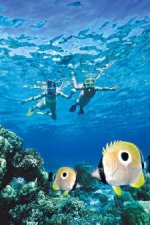 Maui Snorkeling Tours