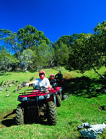 Maui ATV Tour