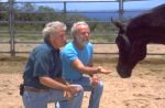 Maui Horse Whisperer Experience