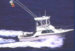 Maui Sportfishing