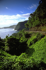 Road To Hana Tours