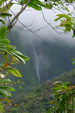 Rain Waterfall