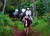Maui Horseback Riding - Ironwood Ranch