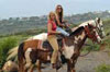 Maui Horseback Riding - Lahaina Stables