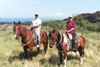 Maui Horseback Riding