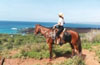 Maui Horseback Riding