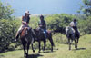 Maui Horseback Riding