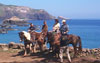 Maui Horseback Riding