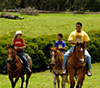 Maui Horseback Riding
