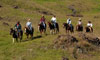 Maui Horseback Riding