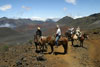 Maui Horseback Riding