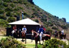 Maui Horseback Riding