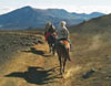 Maui Horseback Riding