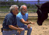 Maui Horseback Riding