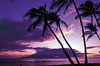 Maui Airport Shuttle